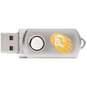   Collegiate University of California 4 GB USB 2.0 Flash Drive   Silver
