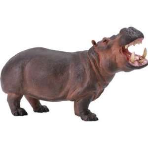  Hippopotamus (Wildlife Wonders) Toys & Games