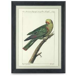    Williams Sonoma Home Exotic Bird Artwork, Large 2