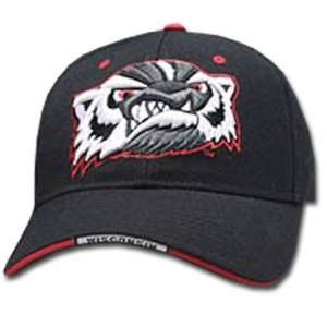  Wisconsin Badgers Zephyr Gamer Adjustable Hat