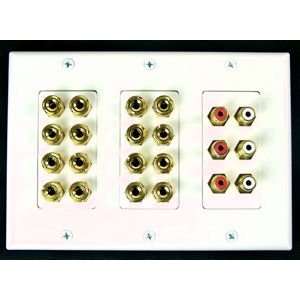   Speaker Wall Plate w/ 6 RCA Ports & Gold Plated Posts Electronics