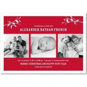  Winter Boy Birth Announcements   Holiday Branches By Hello 