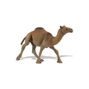  Wild Safari Wildlife Dromedary Camel Toy Model 2010 Toys & Games