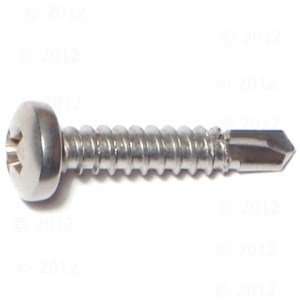 10 x 1 Phillips Pan Self Drilling Screw (46 pieces)