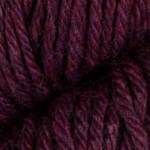   ™ Chunky Yarn (6180) Dried Plum By The Skein Arts, Crafts & Sewing