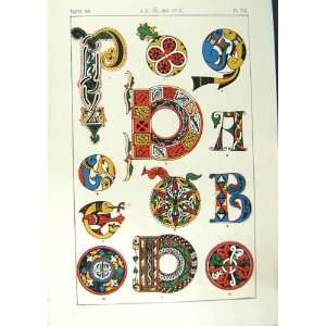   Art Illuminating Alphabet Letters Patterns Designs
