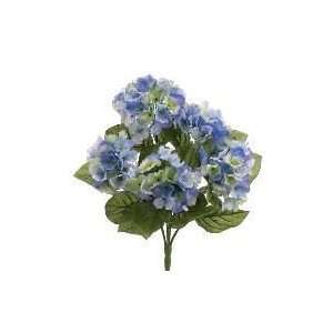   Hydrangea Garden Flower Bush  2 Tone Blue (case of 12)
