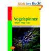 Vogelspinnen  Hans W. Kothe Bücher