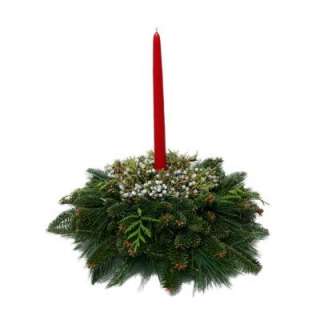   Christmas Tree Company 6 in.Fresh Greens 1 Candle Holiday Centerpiece