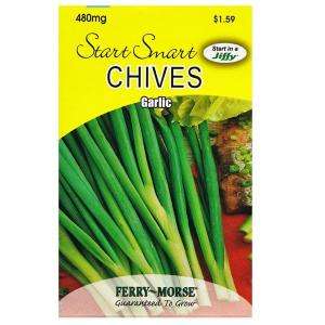 Ferry Morse Start Smart 480 mg Chives Garlic Seed 2015 at The Home 
