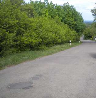 Verkaufe Wochenendgrundstück in 06567 Bad Frankenhausen in 