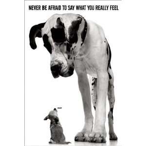 1art1 48419 Hunde   Never Be Afraid To Say Poster (91 x 61 cm)  