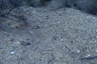 GOLDWATER PLACER GOLD MINING PROJECT FOR SALE  