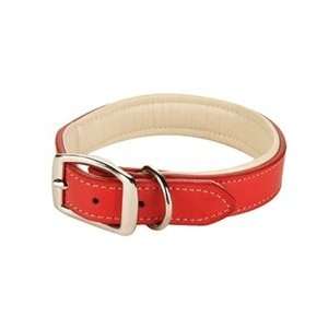  Bone Diggers Padded Red & White Collar