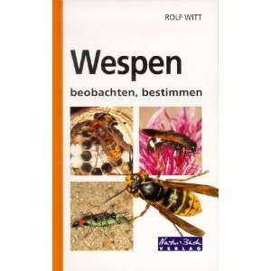 Wespen beobachten, bestimmen  Rolf Witt Bücher