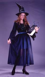 Adult Velvet Storybook Witch Costume   Classic Halloween witch costume 