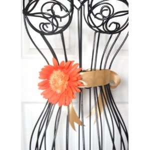   Baby Girls & Toddler Flower Dress Sash & Hair Clip Set Daisy Gerbera