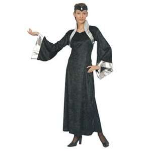   Ladies Halloween Costumes  Princess Of Darkness Costume Toys & Games