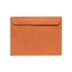  9 x 12 Booklet Envelopes   Rust (1000 Qty.) Office 