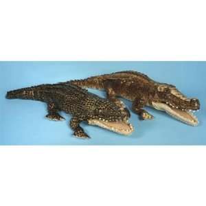  Alligator   30 inch Animal Puppet Toys & Games