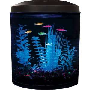   Aquarius Aq35000gpc Glofish 180 3.5 Gallon Aquarium Kit