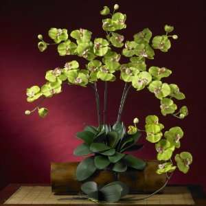  Nearly Natural 2044 GR Phalaenopsis Silk Orchid Flower 