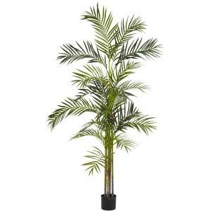 five trunk 6 foot tall areca palm silk tree comes together to form a