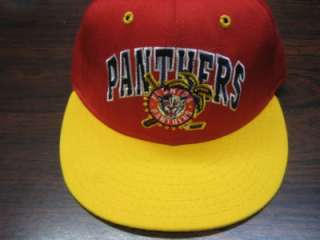 FLORIDA PANTHERS VINTAGE NHL FITTED HAT  