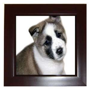 Akita Puppy Dog Framed Tile G0005