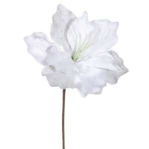   of 12 Elegant White Sparkle Amaryllis Flower Picks 16