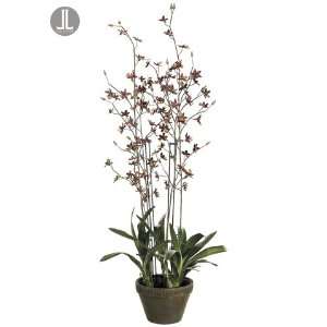  62 Artificial Potted Dancing Brown Orchid Flower
