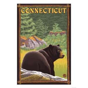  Connecticut   Black Bear in Forest Premium Poster Print 