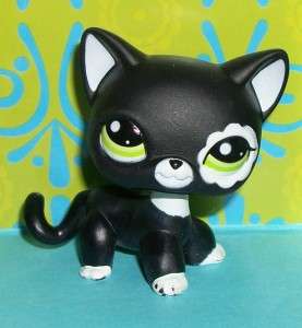 Littlest Pet Shop~#2249 BLACK & WHITE SHORT HAIR KITTY CAT Green Eyes 