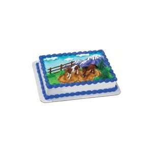  Horse Cake Kit