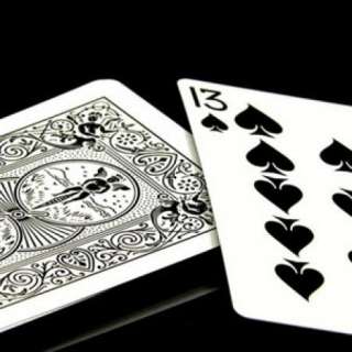 The Skull Deck   Bicycle Playing Cards, Great Design  
