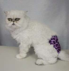 Stud Pants Male Cat Diaper All Sizes   