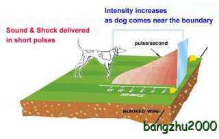 300M Dog Shock Collar Underground Electronic Pet Fence  