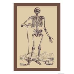  Skeleton with Shovel Andreas Vesalius. 12.00 inches by 18 