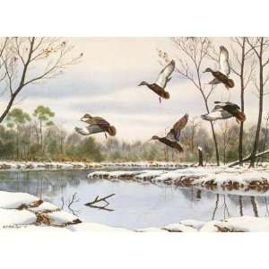  William Redd Taylor   Cautious Descent   Black Ducks