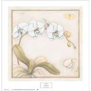 White Orchid Meg Page. 26.88 inches by 27.88 inches. Best Quality Art 
