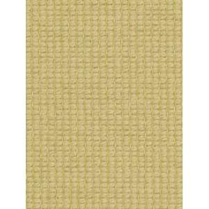  Cotton Loop Wheat by Robert Allen Fabric Arts, Crafts 