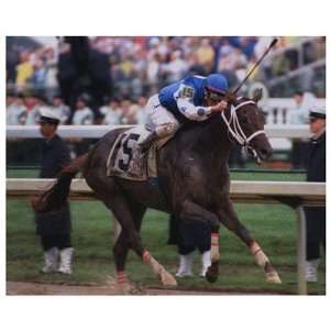  2004 Kentucky Derby Smarty Jones #873 by Unknown 10x8 