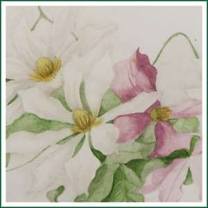 Botanical Clematis Garden Flowers Watercolour Painting  