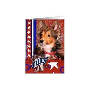  July 4th Firecracker   Sheltie Puppy   Cooper Card Health 