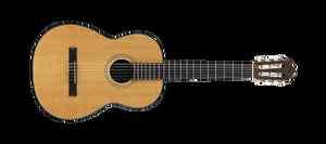 Alvarez RC16 Acoustic Classical Natural Guitar New bnc  
