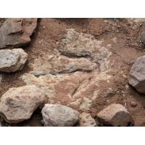 Fossil Dinosaur Footprint Near Tuba City, Arizona Premium Poster Print 