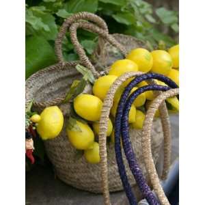 Handbag with Lemons, Positano, Amalfi Coast, Campania, Italy Premium 