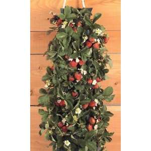    1 Hanging Garden   Strawberry Babylon Bag Patio, Lawn & Garden