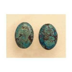   Silver Clip On Earrings w/1 inch long Turquoise Ovals Jewelry