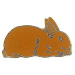  New Zealand Brown Rabbit Pin 1 Arts, Crafts & Sewing